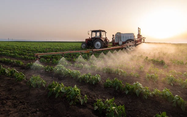 Insect Control in Westmoreland, TN